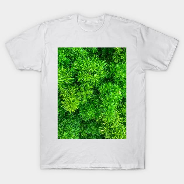 Foxtail fern (Sprenger's asparagus) green plant texture background T-Shirt by FOGSJ